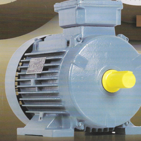 Premium Efficiency LV Induction Motors